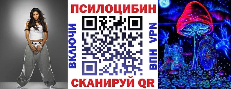 цена   Белово  Галлюциногенные грибы Psilocybine cubensis 